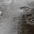 pekkalo